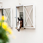 Boxenfenster