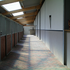 Blick in die Stallgasse