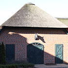 Detail Pferdestall