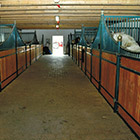 Boxentrakt